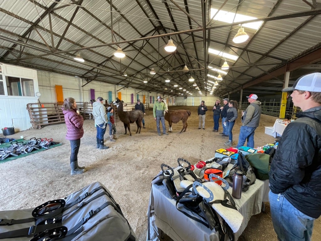How-To Llama Seminars | Montana Llama Guides | Hiking & Camping