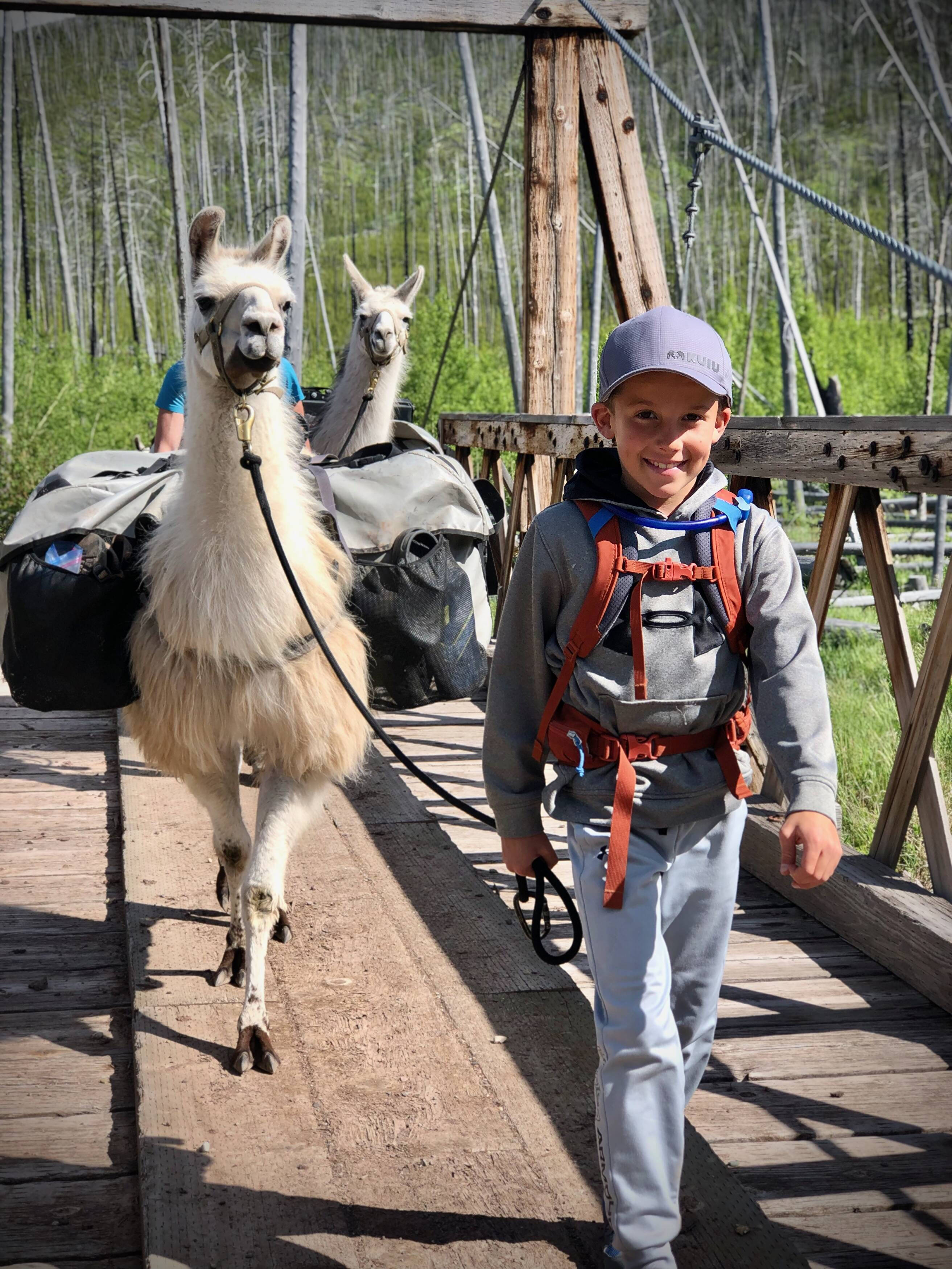 Ccara Pack Llamas, Hiking, Fly Fishing, Hunting Trips, Ranch Tours